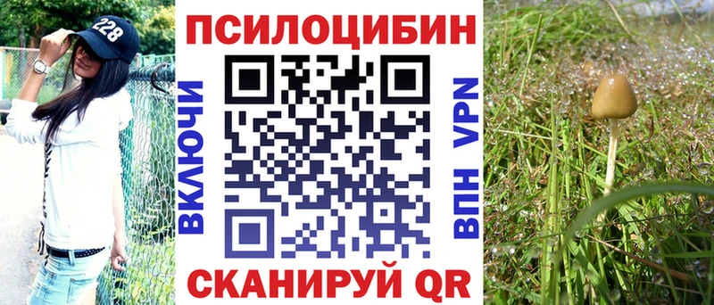 купить наркотики цена  Лысьва  Псилоцибиновые грибы Magic Shrooms 